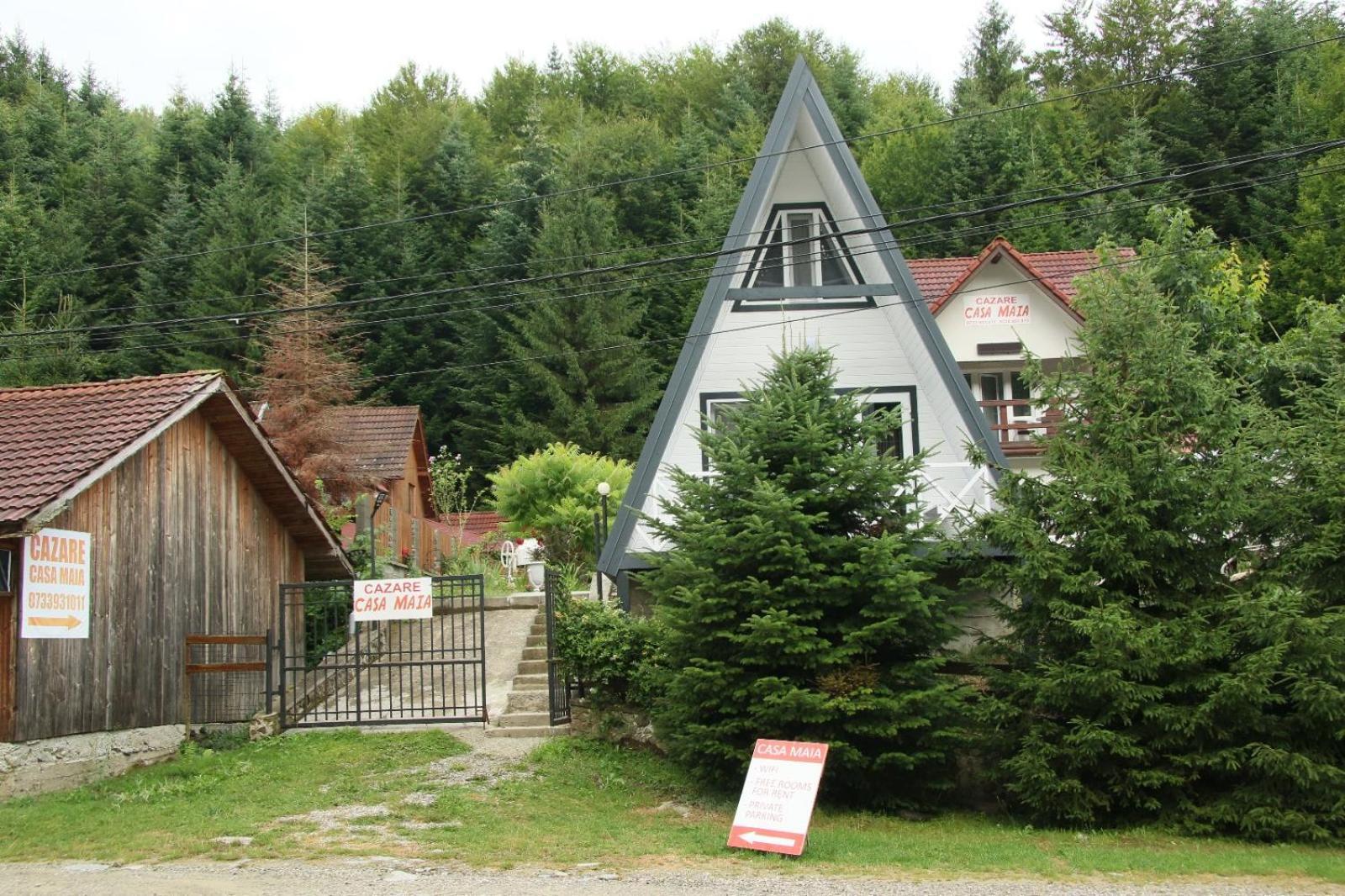 Casa Maia Apartment Cîrţişoara Екстериор снимка